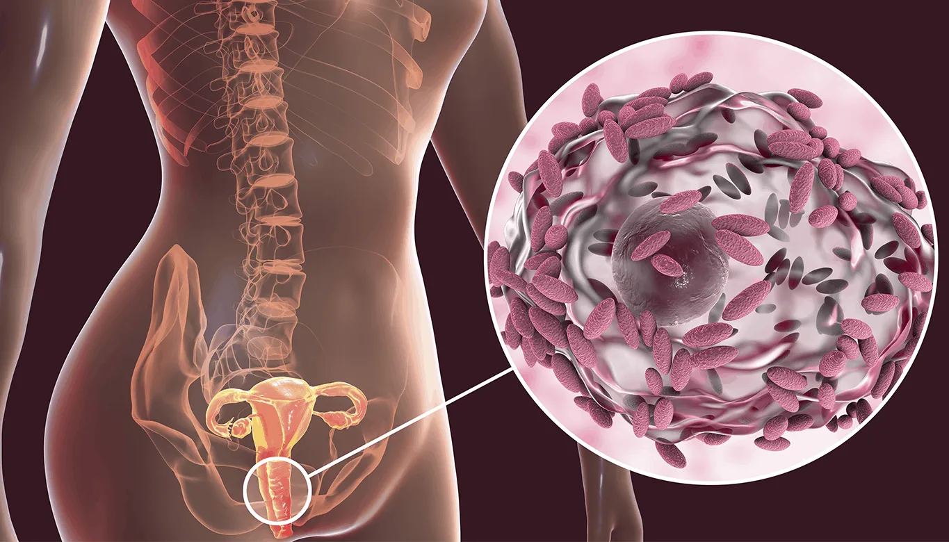A Flora Vaginal